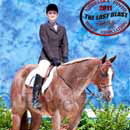 hunter undersaddle